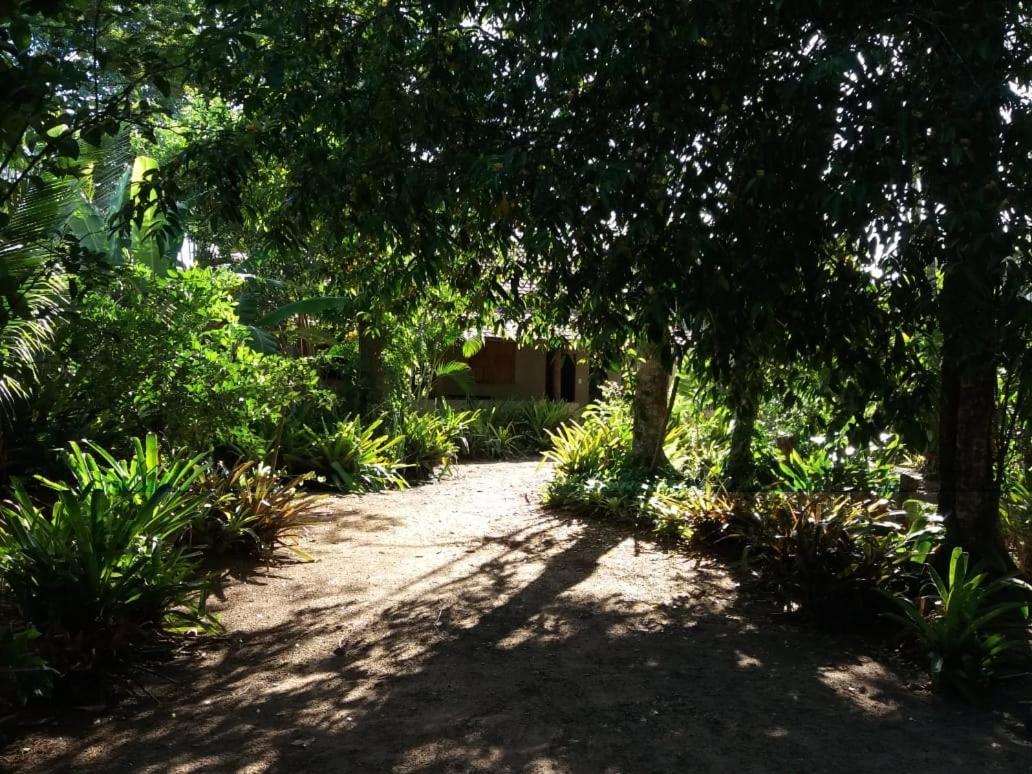 Vila Prosperidade Trancoso Kültér fotó