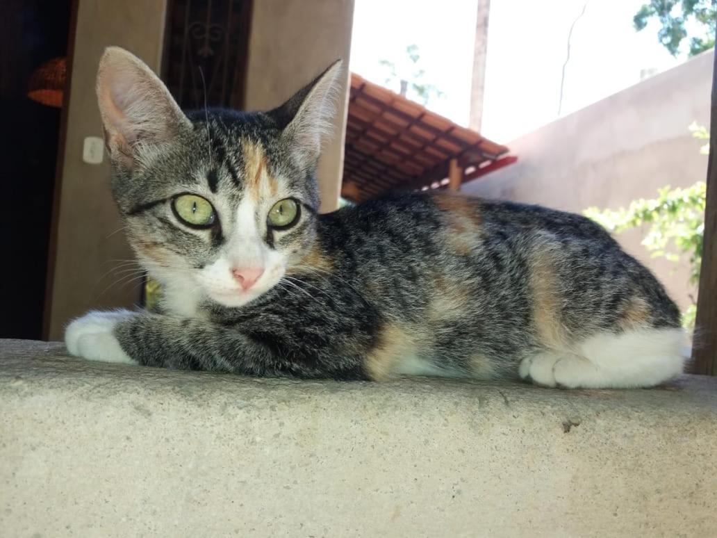 Vila Prosperidade Trancoso Kültér fotó